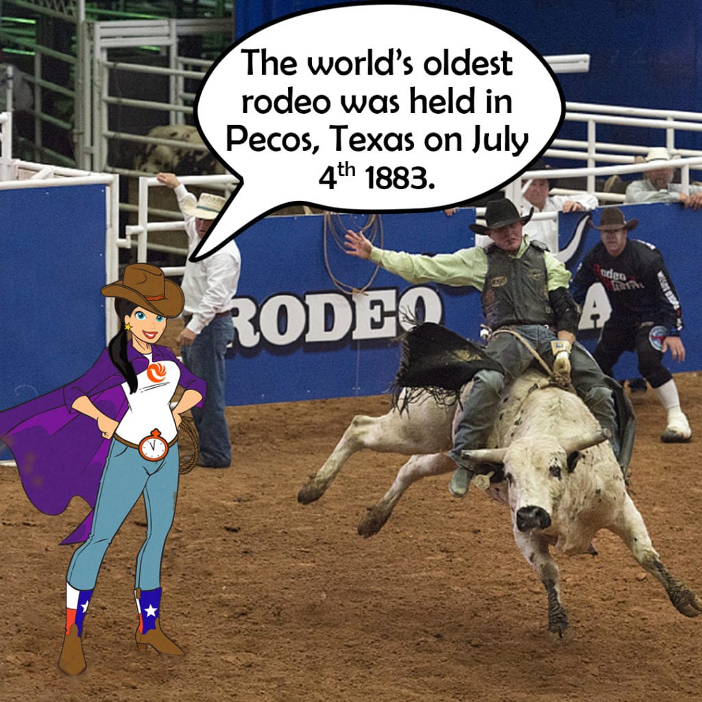 Wondergal - Rodeo Fact