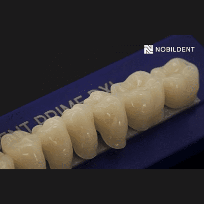 Dental Creations Ltd Dental Laboratory Products Acrylic Teeth