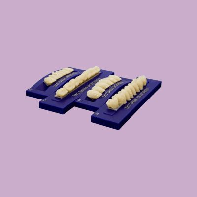 Dental Creations Ltd - Nobildent Acrylic Teeth